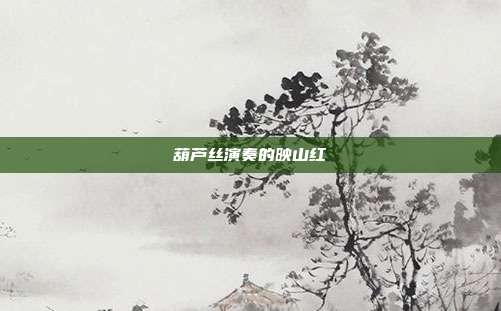 葫芦丝演奏的映山红