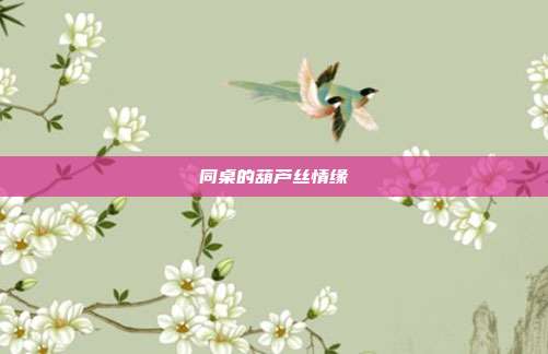 同桌的葫芦丝情缘