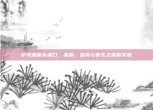 萨克斯笛头进口，品质、选择与音乐之旅的交融