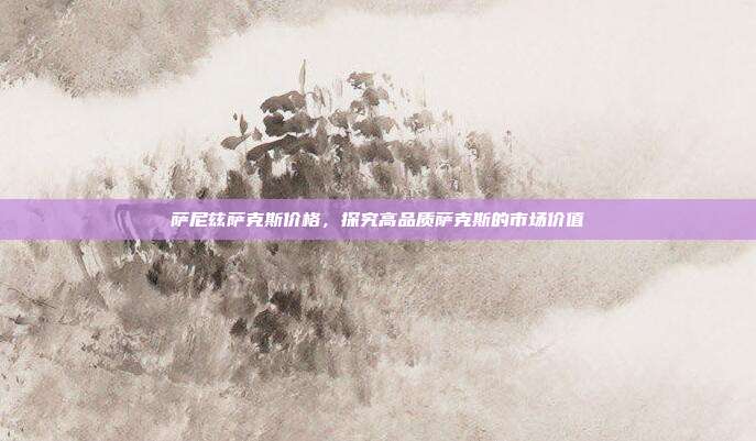萨尼兹萨克斯价格，探究高品质萨克斯的市场价值