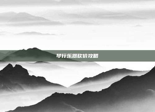 琴行乐器砍价攻略