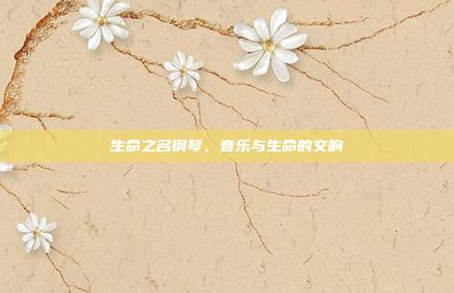 生命之名钢琴，音乐与生命的交响