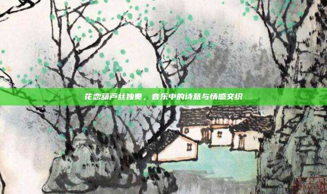 花恋葫芦丝独奏，音乐中的诗意与情感交织