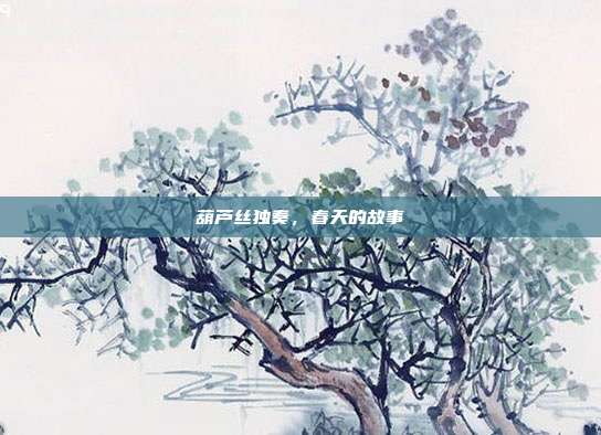 葫芦丝独奏，春天的故事