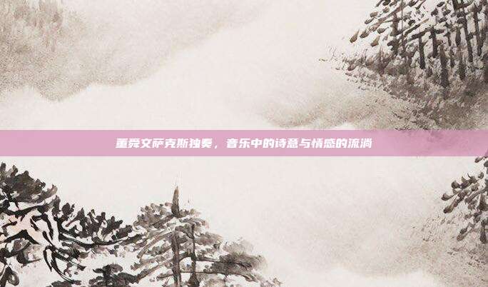 董舜文萨克斯独奏，音乐中的诗意与情感的流淌