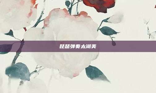 琵琶弹奏太湖美