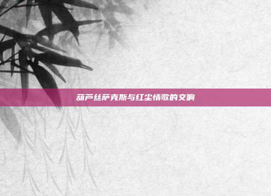 葫芦丝萨克斯与红尘情歌的交响