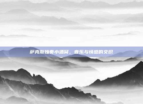 萨克斯独奏小酒窝，音乐与情感的交织