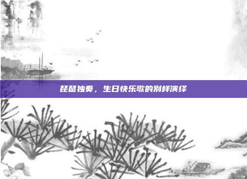 琵琶独奏，生日快乐歌的别样演绎