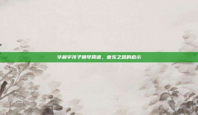 华晨宇孩子钢琴简谱，音乐之路的启示