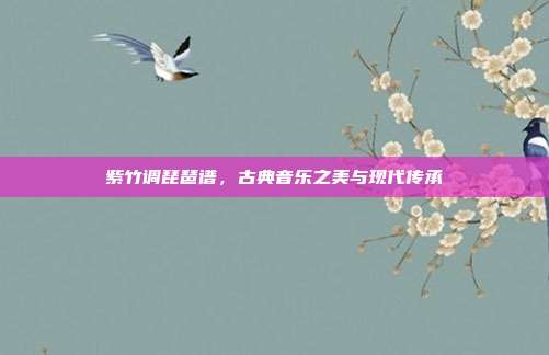 紫竹调琵琶谱,古典音乐之美与现代传承
