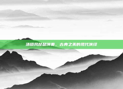 汤晓风琵琶演奏,古典之美的现代演绎