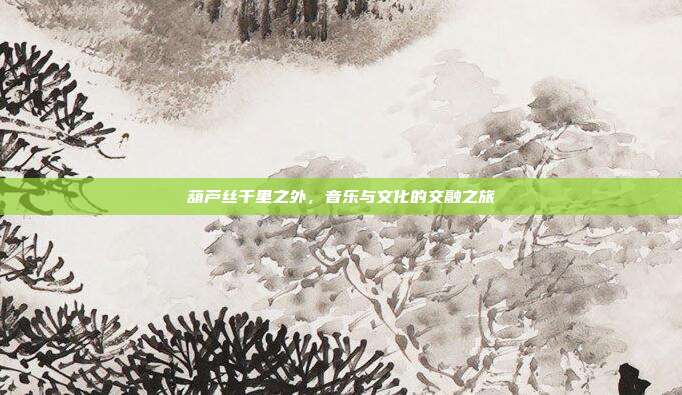 葫芦丝千里之外，音乐与文化的交融之旅
