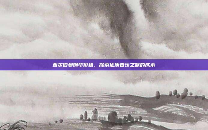 西尔伯曼钢琴价格，探索优质音乐之旅的成本