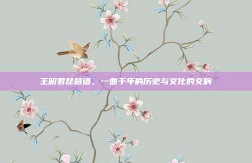 王昭君琵琶谱，一曲千年的历史与文化的交响
