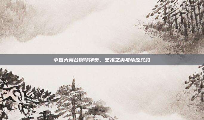 中国大舞台钢琴伴奏，艺术之美与情感共鸣