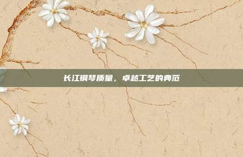 长江钢琴质量,卓越工艺的典范