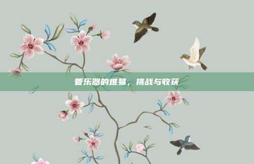 管乐器的难易，挑战与收获
