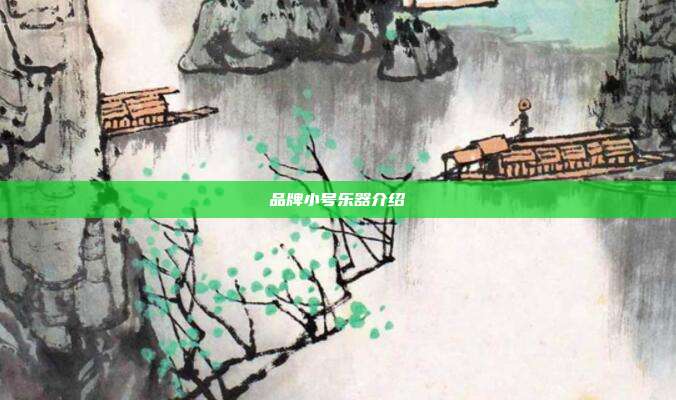 品牌小号乐器介绍