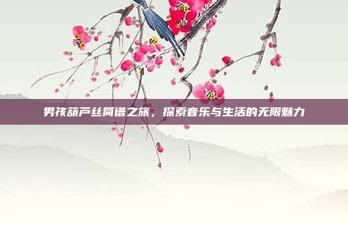 男孩葫芦丝简谱之旅，探索音乐与生活的无限魅力