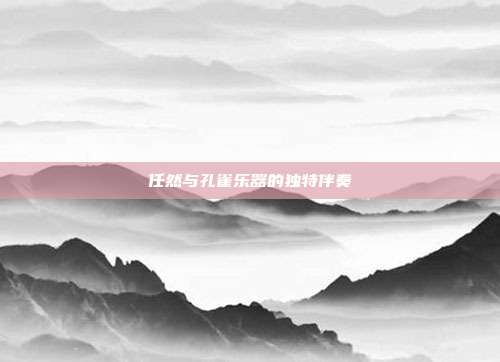 任然与孔雀乐器的独特伴奏