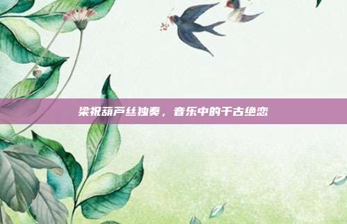 梁祝葫芦丝独奏,音乐中的千古绝恋