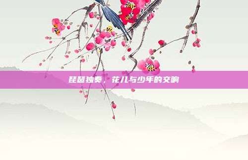 琵琶独奏,花儿与少年的交响