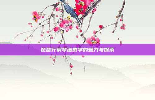 琵琶行钢琴谱数字的魅力与探索