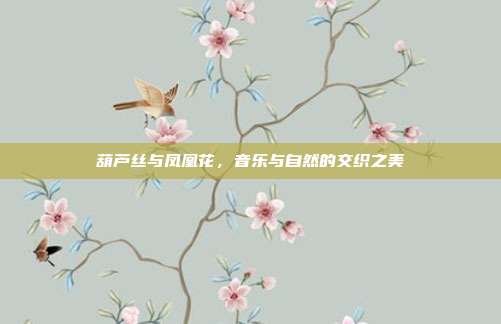 葫芦丝与凤凰花，音乐与自然的交织之美