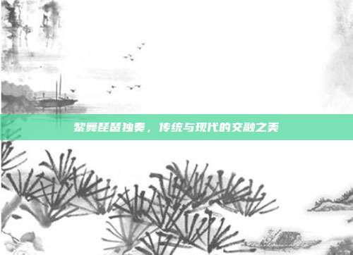 黎舞琵琶独奏，传统与现代的交融之美