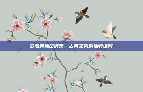 罗慧芳琵琶演奏，古典之美的独特诠释