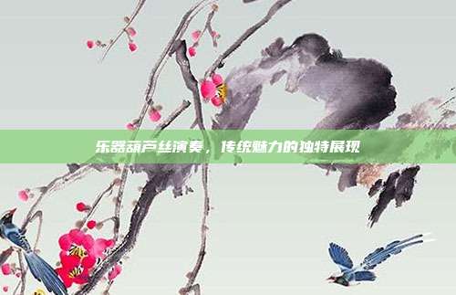 乐器葫芦丝演奏，传统魅力的独特展现