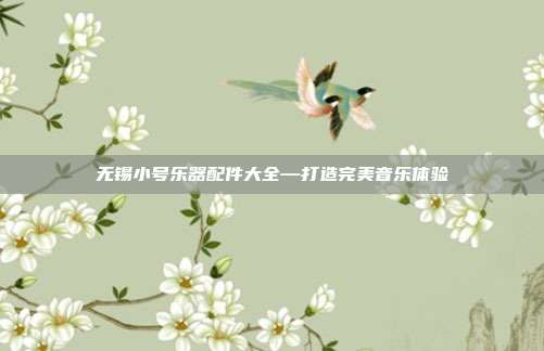 无锡小号乐器配件大全—打造完美音乐体验