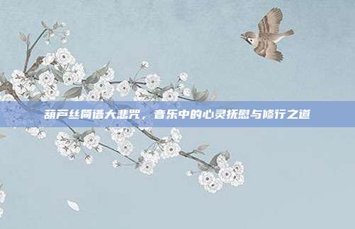 葫芦丝简谱大悲咒,音乐中的心灵抚慰与修行之道