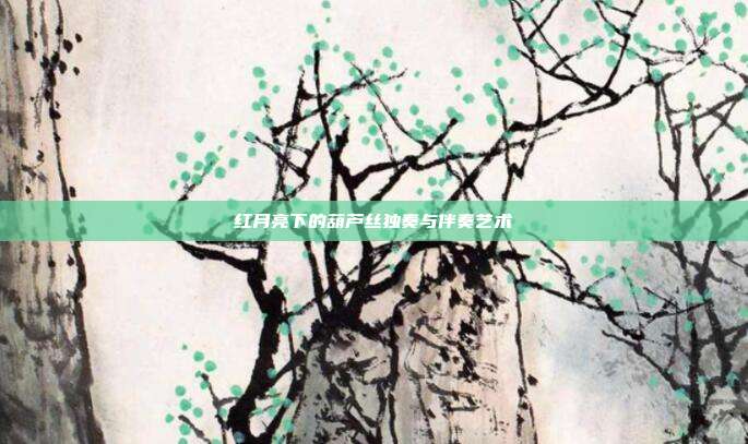 红月亮下的葫芦丝独奏与伴奏艺术