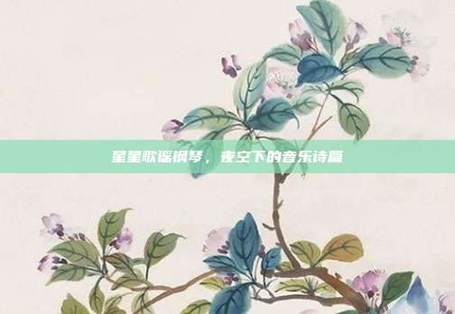 星星歌谣钢琴，夜空下的音乐诗篇
