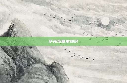 萨克斯基本知识