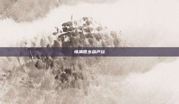 情满傣乡葫芦丝