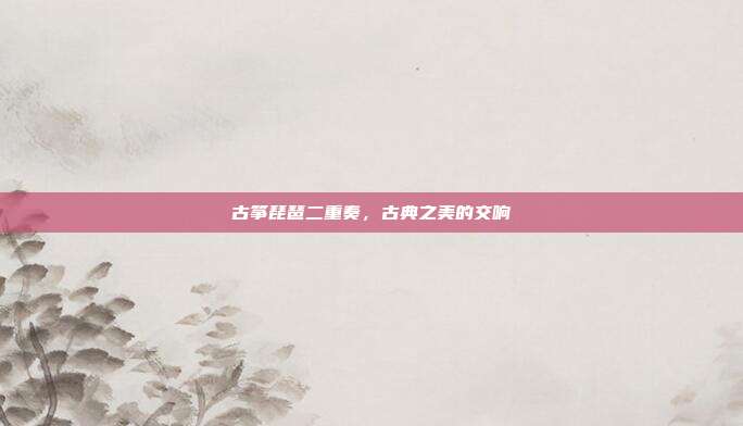 古筝琵琶二重奏，古典之美的交响