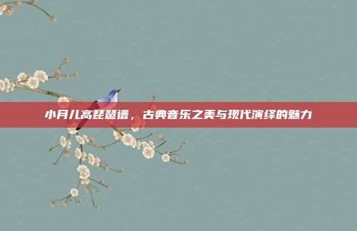 小月儿高琵琶谱，古典音乐之美与现代演绎的魅力