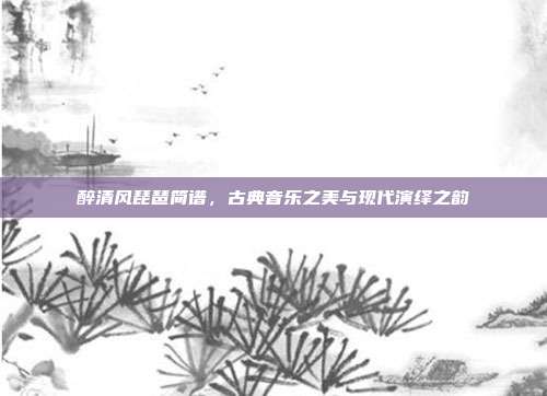 醉清风琵琶简谱，古典音乐之美与现代演绎之韵