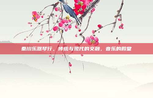 秦川乐器琴行，传统与现代的交融，音乐的殿堂