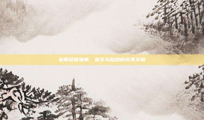春雨琵琶独奏，音乐与自然的完美交融
