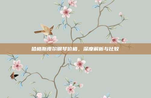 哈格斯皮尔钢琴价格，深度解析与比较