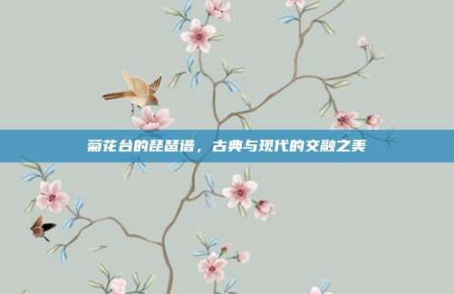 菊花台的琵琶谱，古典与现代的交融之美