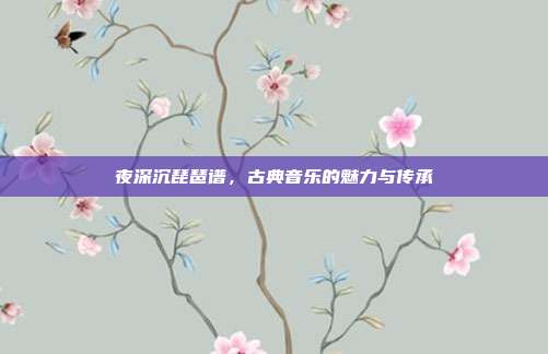 夜深沉琵琶谱，古典音乐的魅力与传承