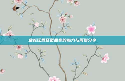 金蛇狂舞琵琶合奏的魅力与简谱分享
