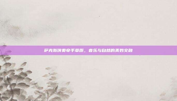 萨克斯演奏牵手草原，音乐与自然的美妙交融