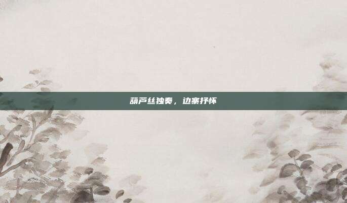 葫芦丝独奏，边寨抒怀