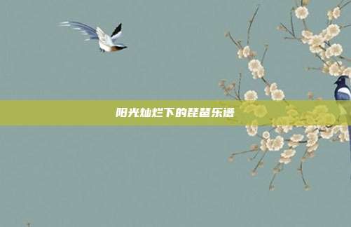 阳光灿烂下的琵琶乐谱